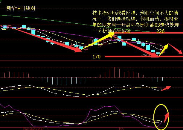 乔安纳金：2.13 减产传言有待考证 油价走势需从本质出发