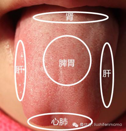 【组图】春节聚会后宝宝肠胃道问题剧增，这些护理方法要学