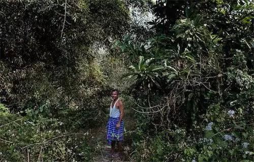 Jadav Payeng造林的故事引发了许多人的思考：“大自然有其食物链，为什么我们不能好好跟随？如果我们作为有知性的生命不去保护动物，有谁会保护它们？”