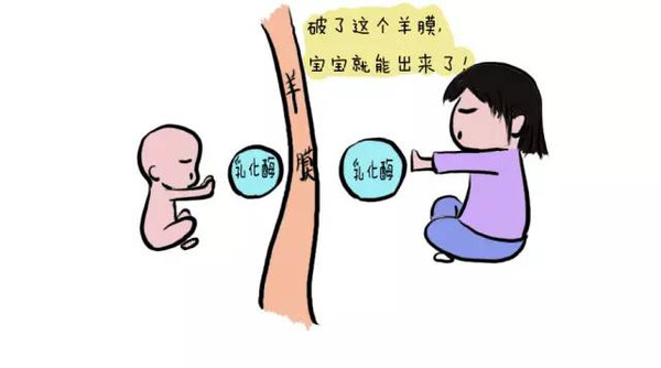 【组图】很多妈妈看晚了：孩子的出生方式影响终生