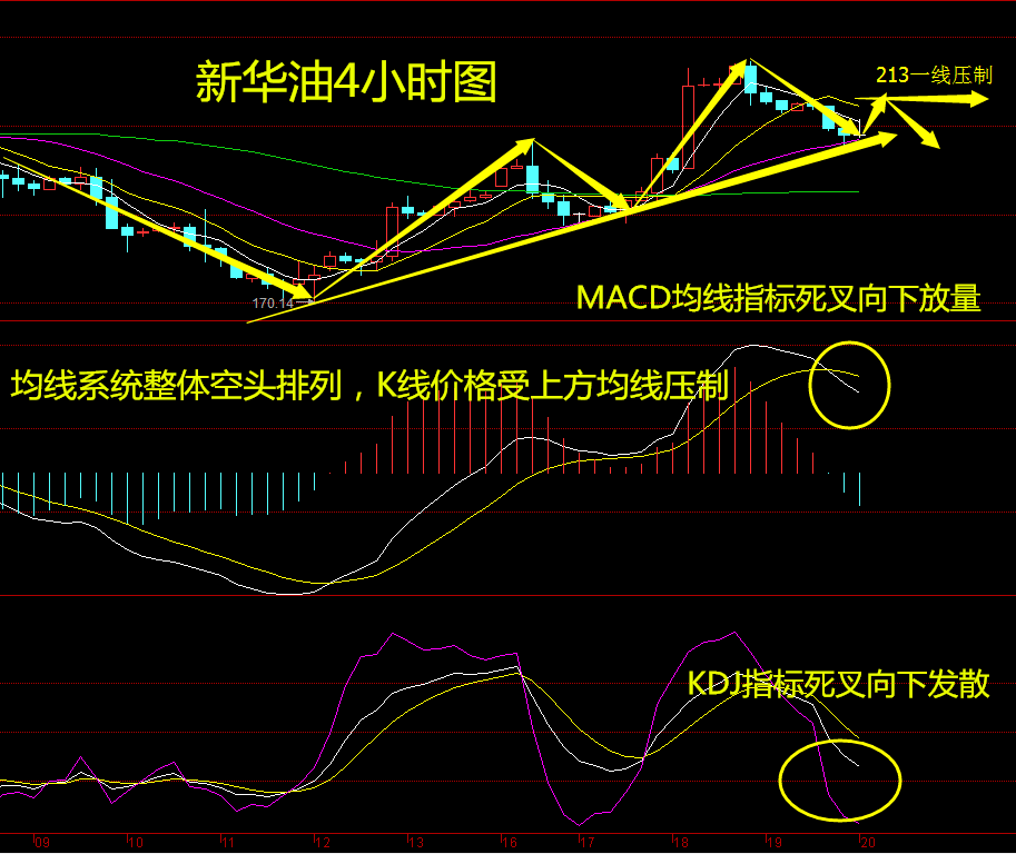 思思析金：银狐魅金2.22新华油/铜日内行情解析及操作建议