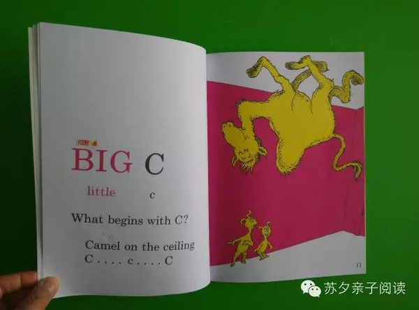 【组图】宝宝英语启蒙，从ABC开始！