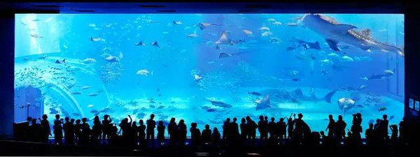 【组图】《美人鱼》里的极地海洋公园就开在杭州隔壁？