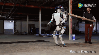 世界最像人的机器人！看了你会被震惊，本港台直播确定！