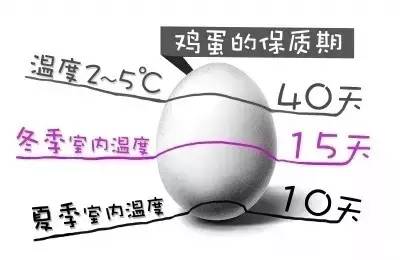 j2开奖直播:【j2开奖】科学有料：原来鸡蛋买回家不能直接放冰箱...|?一分钟科普