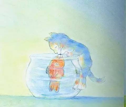 j2开奖直播:【j2开奖】3岁半的女儿让本港台直播相信：猫和鱼也可以相爱！