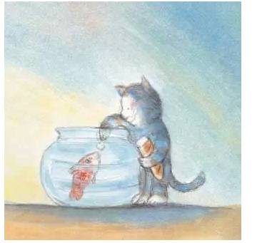 j2开奖直播:【j2开奖】3岁半的女儿让本港台直播相信：猫和鱼也可以相爱！