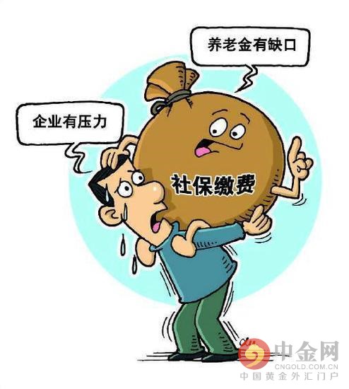 养老保险费率减半