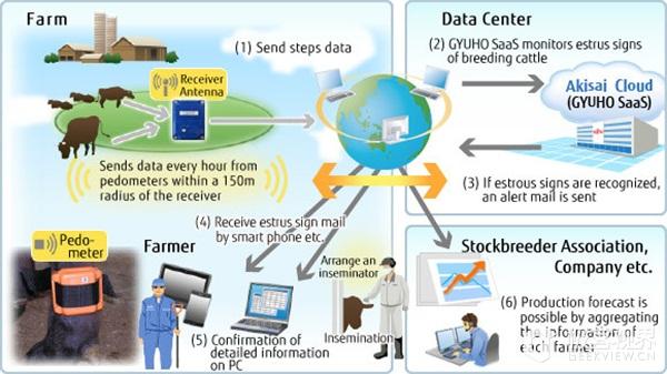 j2开奖直播:【j2开奖】富士通为奶牛配专属的智能可穿戴设备，检测发情期