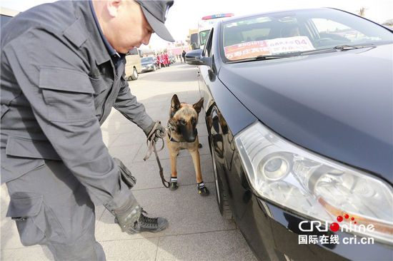 警犬穿黑色“小靴”执勤镜头感十足。摄影：沈湜