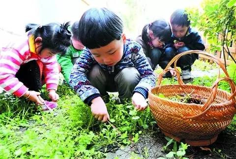 开奖直播现场:【j2开奖】两天一夜?户外拓展教练带您探索自然学习拓展生存知识（国旭老师微信332899631）