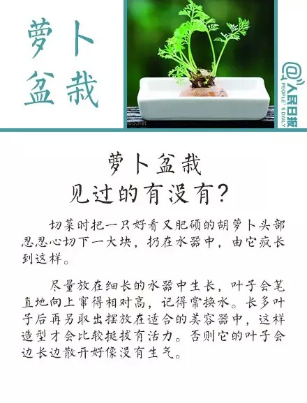 j2开奖直播:【j2开奖】【实用?贴】植树节，教你把果核变盆栽！