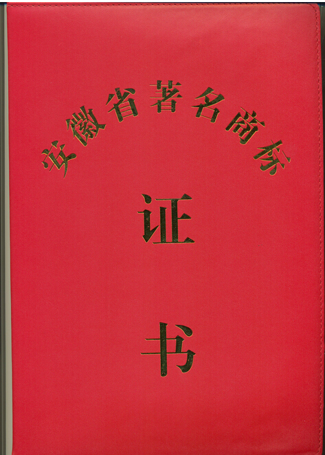 1983年，美菱诞生于安徽合肥，走进了消费者的生活。2015年，33岁的美菱焕发新颜，让美好来临于每一个人的身边。2016年，美菱全新起航，将从组织和流程上再造一个新美菱，给更多的用户缔造更健康更美好的生活。