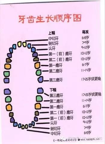 j2开奖直播:【j2开奖】绘本丨《一颗超级顽固的牙》——换牙是每个孩子都会经历的一个成长过程