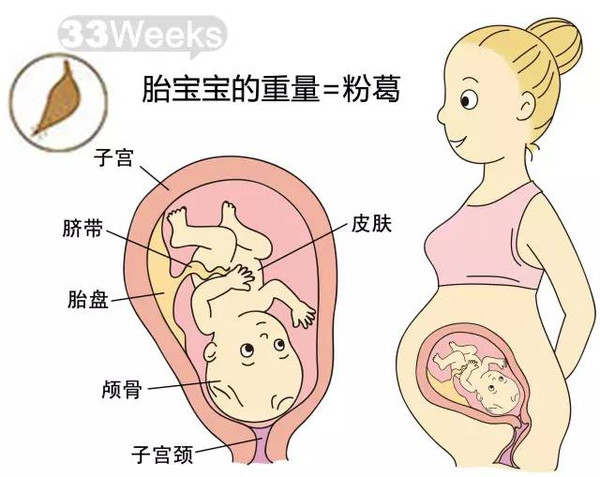 开奖直播现场:【j2开奖】胎儿每周到底有多大？从芝麻到西瓜！有图有真相！