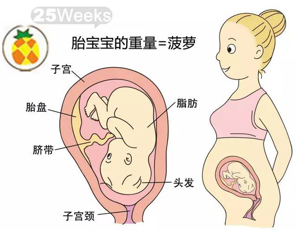 开奖直播现场:【j2开奖】胎儿每周到底有多大？从芝麻到西瓜！有图有真相！