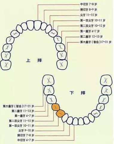 开奖直播现场:【j2开奖】让孩子拥有一口好牙，家长必看！