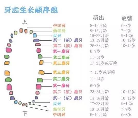 开奖直播现场:【j2开奖】让孩子拥有一口好牙，家长必看！