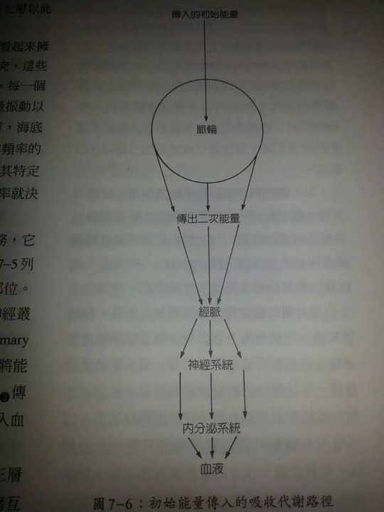 j2开奖直播:【j2开奖】花精、振动频率与能量医学