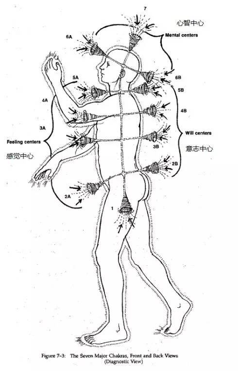 j2开奖直播:【j2开奖】花精、振动频率与能量医学