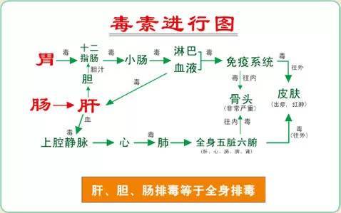 j2开奖直播:【j2开奖】【花仙子排毒】1+0酵素排毒是改善一切疾病的万能钥匙！