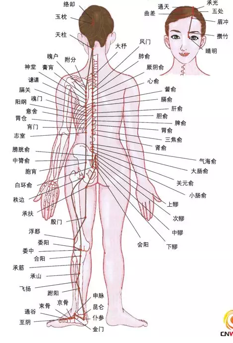 开奖直播现场:【j2开奖】膀胱经，女性最大的排毒通道！