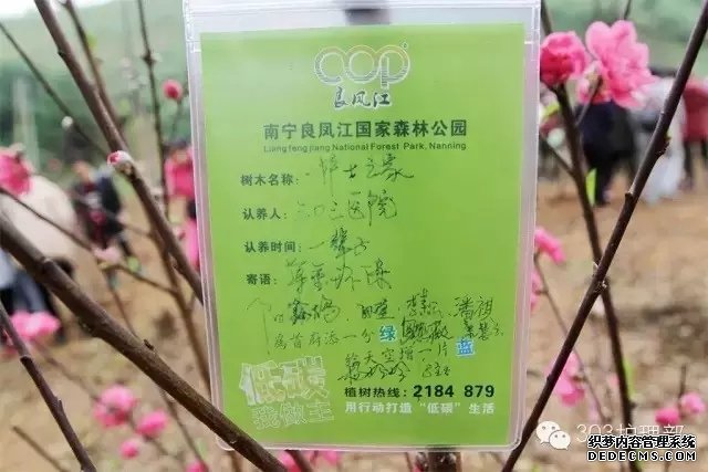 “护士之家”开展植树及户外拓展主题教育活动