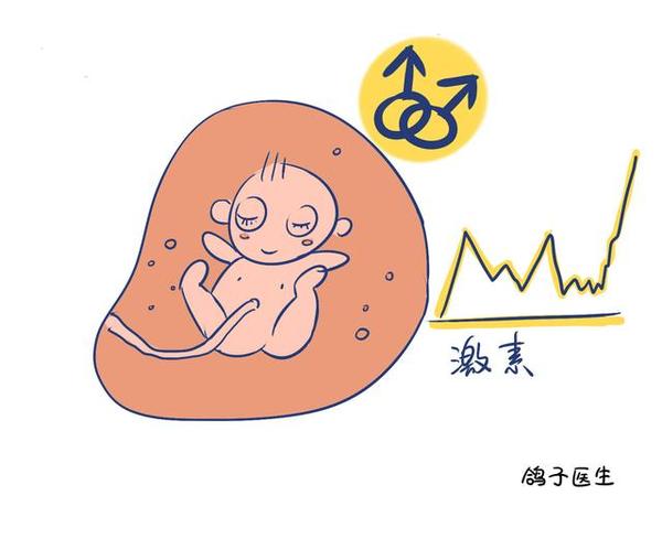 j2开奖直播:【j2开奖】孕妇看耽美小说闯祸？宝宝性取向受这些细节影响！