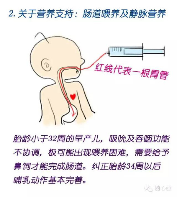 本港台直播:【j2开奖】【这医路】早产儿养成记