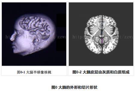 开奖直播现场:【j2开奖】游戏编程中的人工智能技术