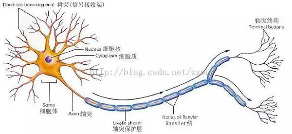 开奖直播现场:【j2开奖】游戏编程中的人工智能技术