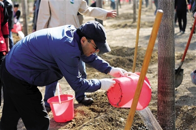 参加活动的领导干部严格按照培土、扶苗，围堰、浇水等步骤植树。图/新华网