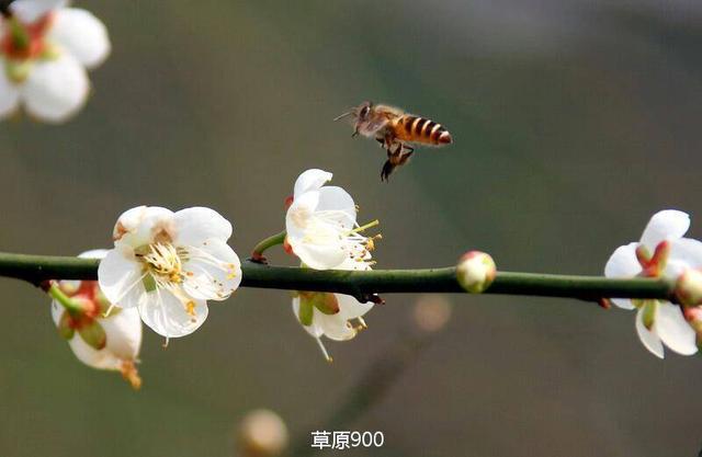 心目中最美乡土，汕尾海丰