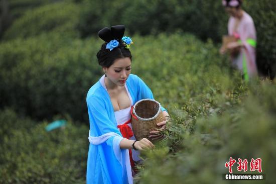 3月30日，身着唐装的美女走进江苏天目湖景区，在“唐朝茶圣陆羽”的带领下再现传统茶文化精髓，从采茶、制茶、泡茶、品茶中演绎古法工艺，展现茶文化的优雅和宁静。中新社发张敬珍 摄