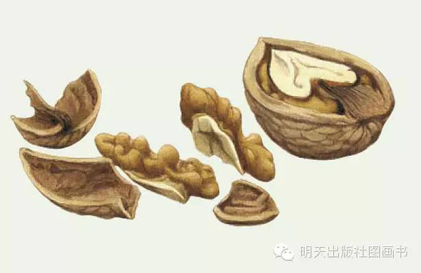 【j2开奖】国际儿童图书日│走进绘本大师的童话王国