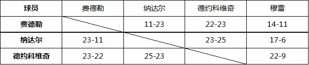 专家：德约的强大源于自身努力 并非对手太弱