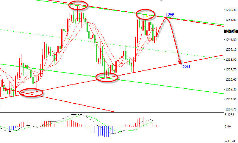 曹向阳：黄金预期展开回落 1255空看向1230