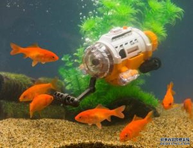 金鱼自拍时代到来 日本研制潜航摄像机 