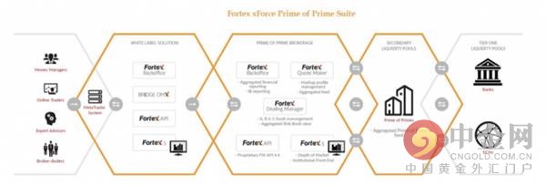 Fortex为外汇经纪商推出xForce Prime of Prime