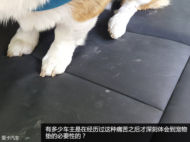 猫奴狗奴注意！宠物出行车载用品大全