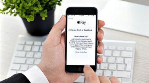 作为 Pay的竞争对手，谷歌Android Pay已经支持移动网站付款，而目前 Pay只支持应用内和实体店付款，升级后的 Pay支持网页付款功能的可能性还是很大的。