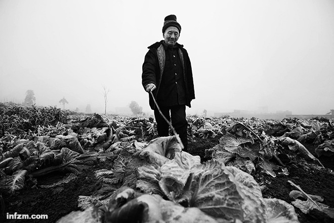 对农业进行现代化升级，让农民真正从土地上赚到更多钱，是全国农村面临的共同挑战。 （CFP/图）