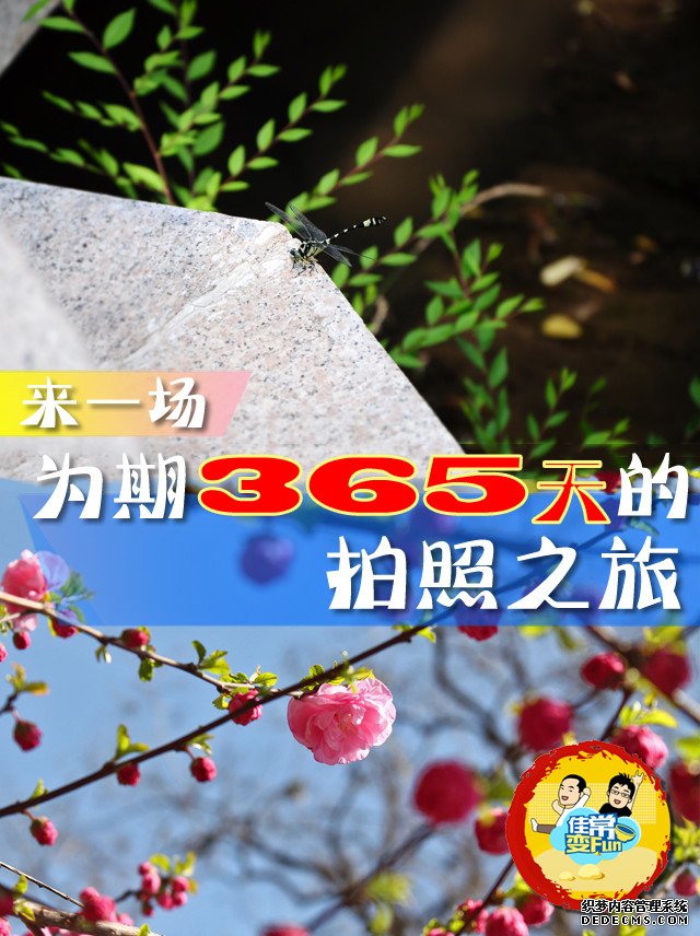 佳常变fun:来一场为期365天的拍照之旅 