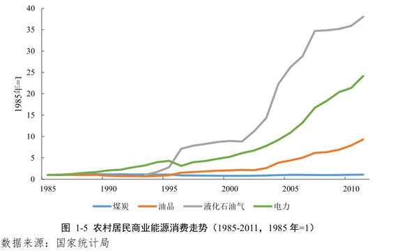 中国家庭能源消费仅为美国四成，“穷人补贴富人”问题加剧