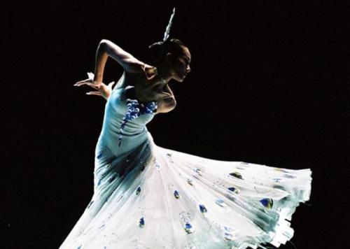 1994年，杨丽萍的独舞《雀之灵》，荣获中华民族20世纪舞蹈经典作品。随后，杨丽萍的舞蹈，迅速受到国内外观众的一致好评，频繁在世界级舞台上翩翩起舞的她，真正成了属于全世界的美丽精灵。
