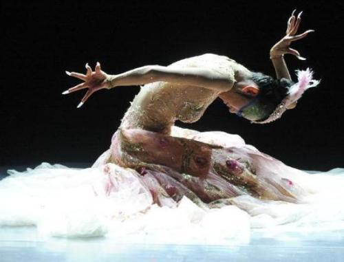 1992年，杨丽萍成为中国内地第一位赴台湾表演的舞蹈家。