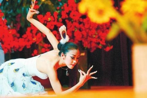 经过专业训练后的杨丽萍，很快就取得了很多可喜的荣誉，调入中央民族歌舞团后，她以自己绝美的舞艺获得一片好评，并以“孔雀舞”闻名。