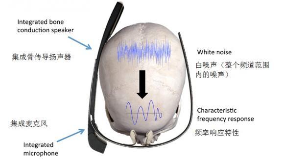 研究的意义