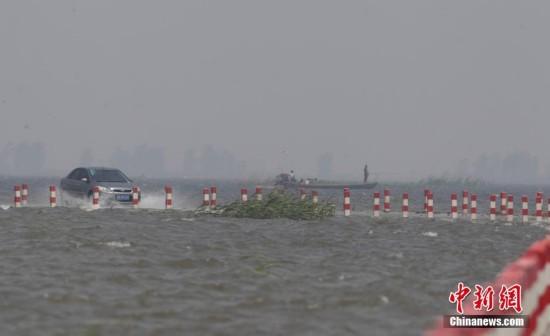 连日来，江西遭遇持续强降雨，中国最大淡水湖鄱阳湖水位连续上涨，被网友誉为“最美水上公路”的永吴公路大湖池段已被淹没。过往车辆行驶在其中，犹如“水上漂”。钟欣 摄