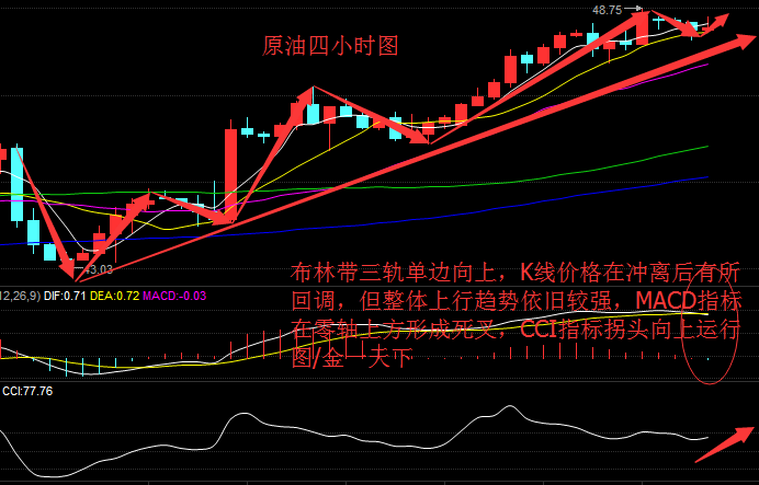 API库存减少供应告急 EIA油价能否冲破50大关